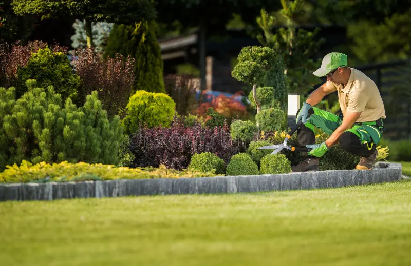 Professional Lawn Maintenance Near Me Grapevine, TX.webp Professional Lawn Maintenance Near Me Grapevine, TX.webp