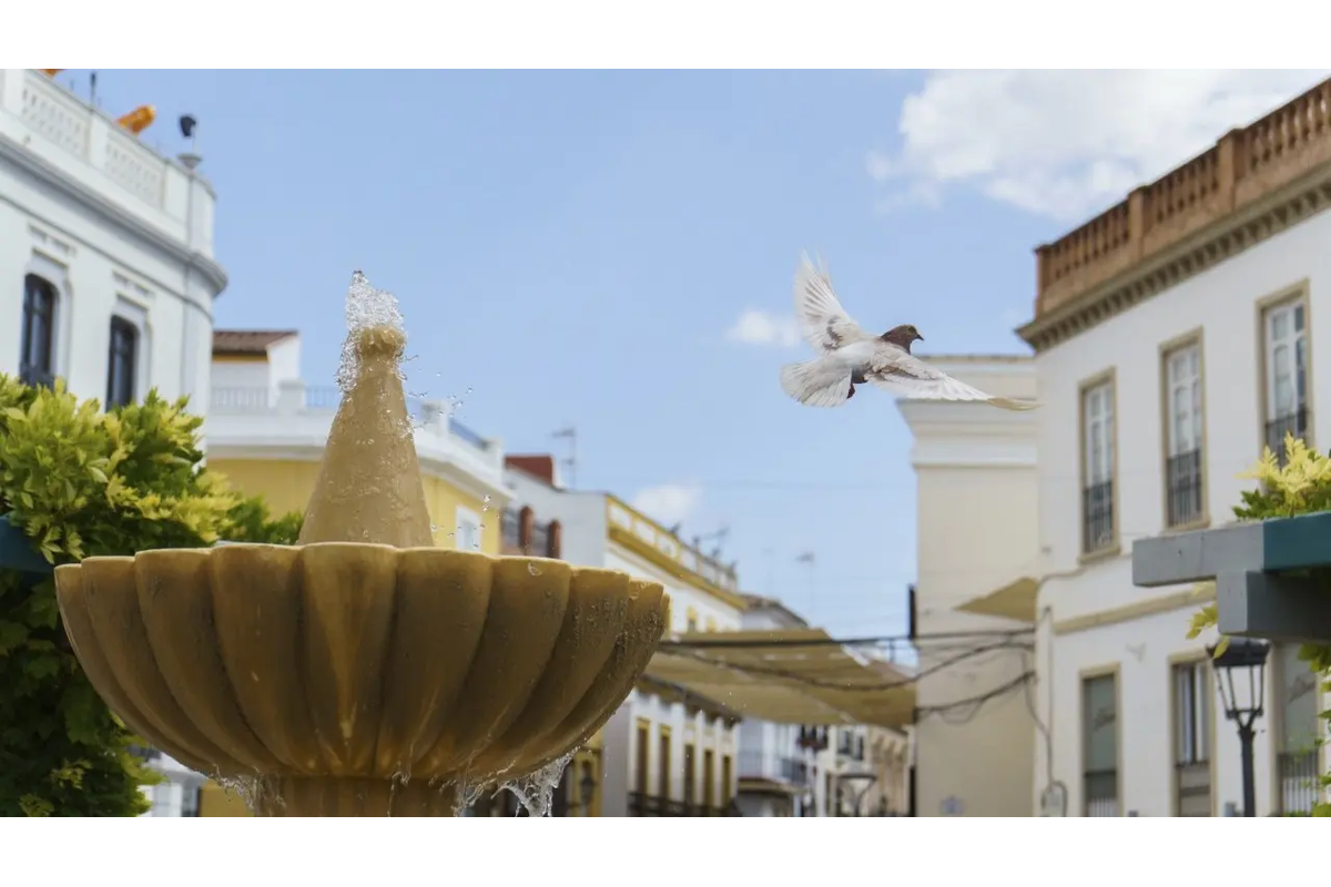 FX Daily: Can France Wake Up The ECB Doves?