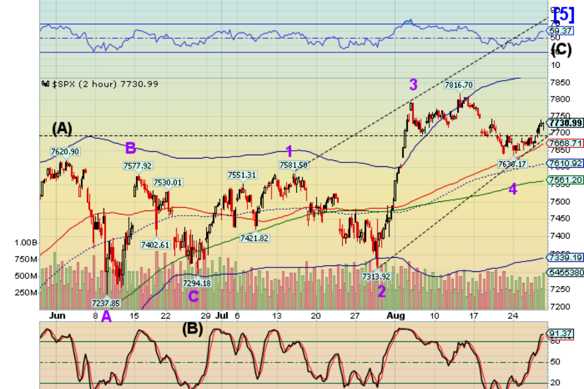 Market Analysis - Friday, August 28