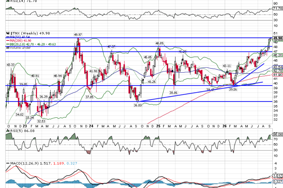 Weekly Market Pulse - What Now?