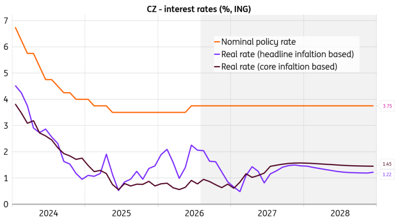 CNB Minutes: Domestic And External Factors At Odds