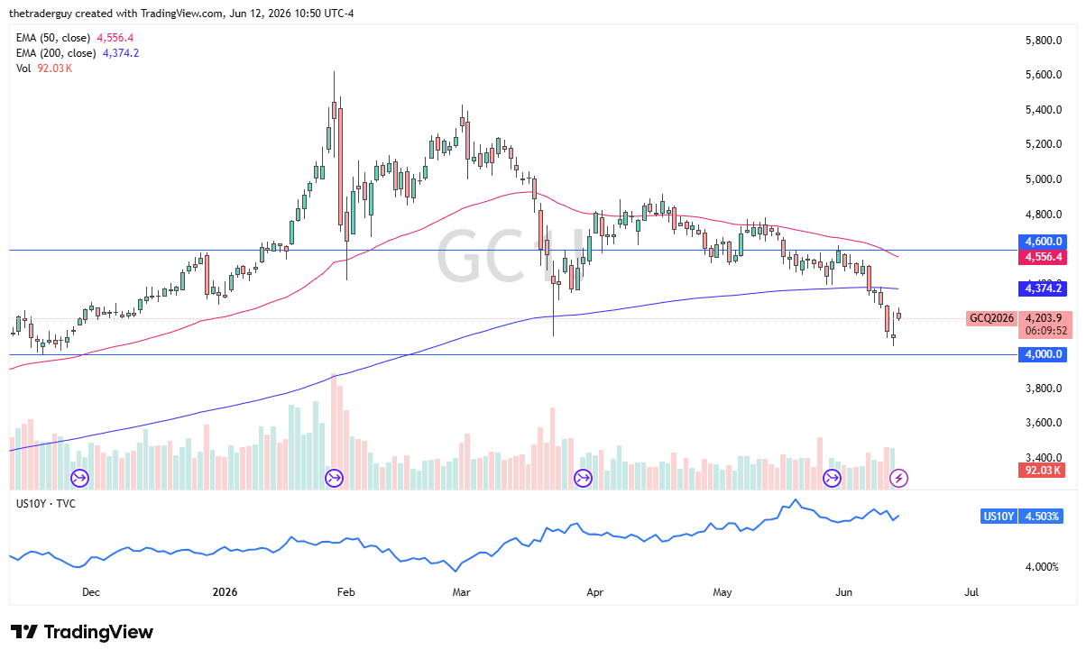 Gold Forecast – Gold Jumps At Open Short Covering?