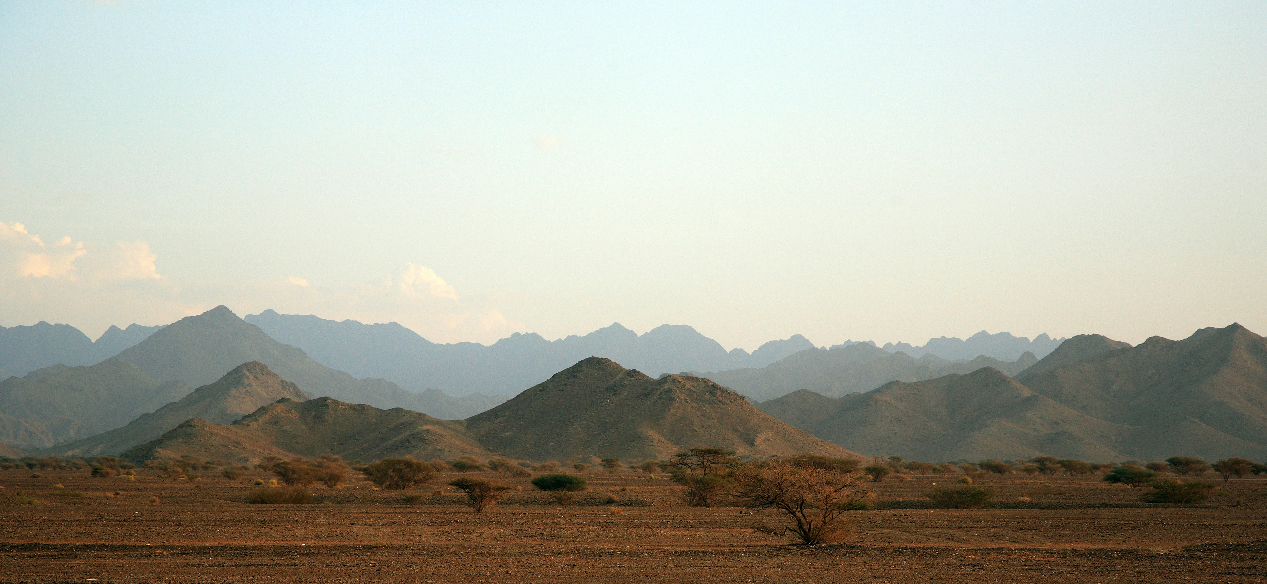 saj-shafique-sI8en1uceKo-unsplash.jpg saj-shafique-sI8en1uceKo-unsplash.jpg