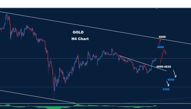 Gold –13.05.2026
