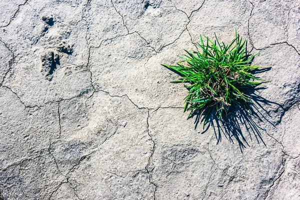 depositphotos_242027510-stock-photo-dry-soil-time-drought-precipitation.jpg