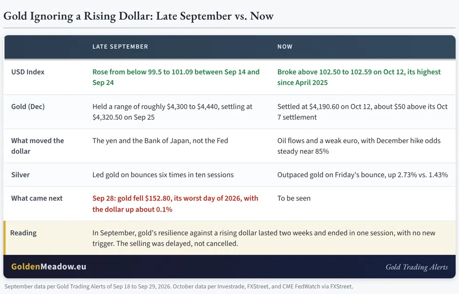Gold Ignores the Dollar's New High: Strength or Delay? - Image 2