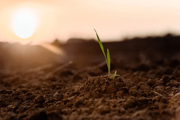 Resilience Is The New Sustainability: How Agriculture Is Rewriting Its Priorities