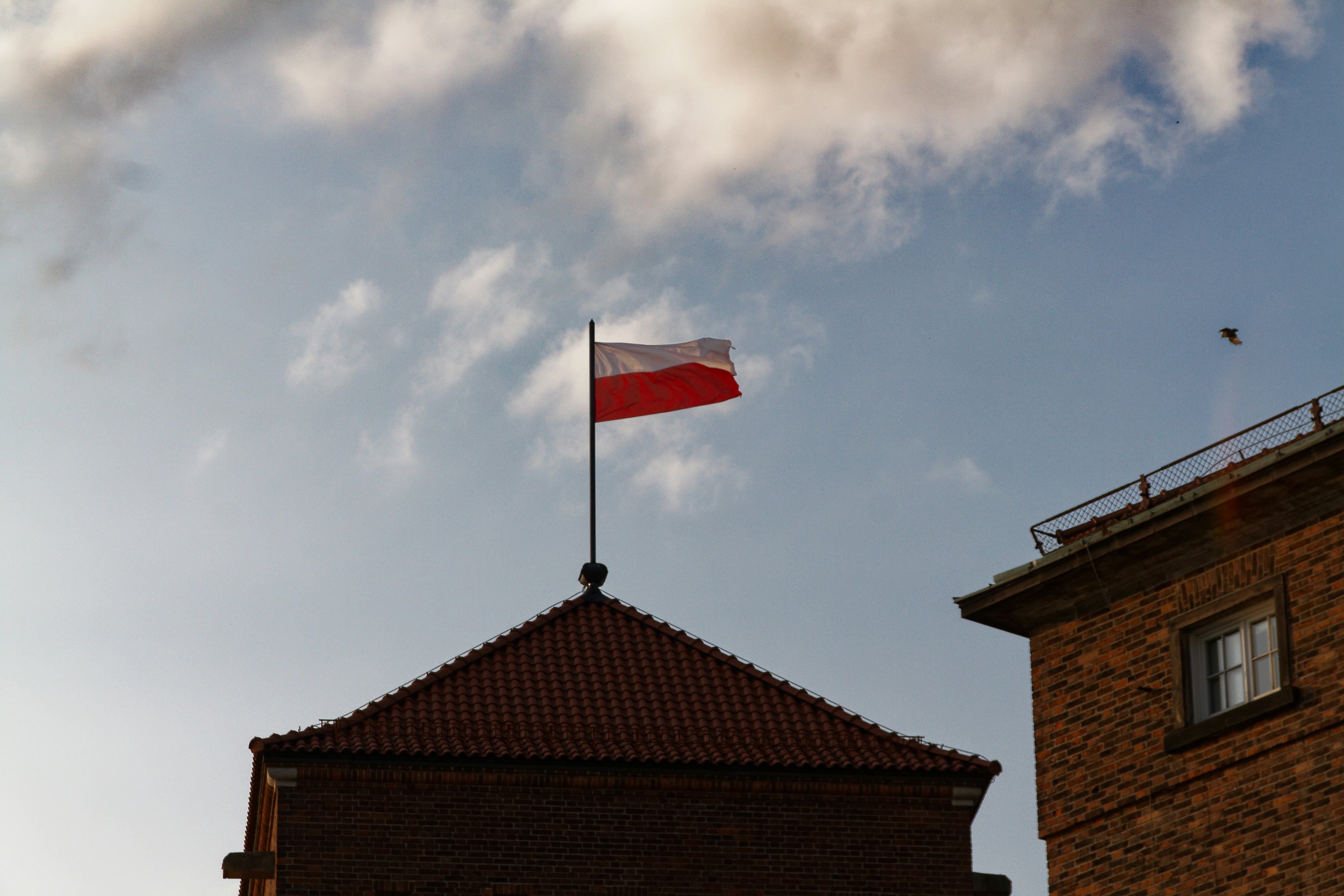 ben-kupke-sGCMt0tjkBU-unsplash.jpg