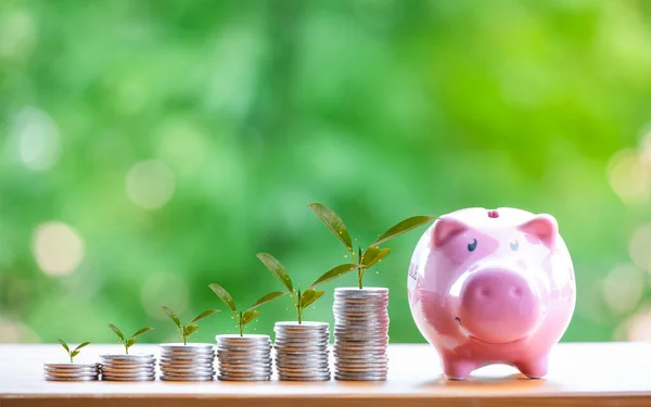 Understanding Wealth