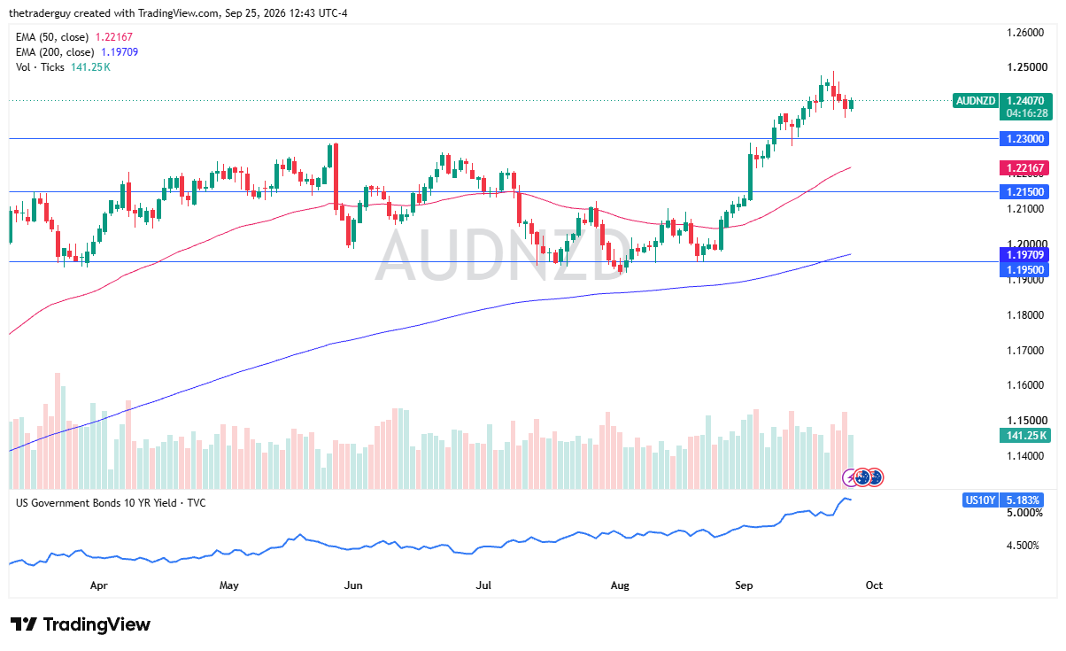 AUD/NZD daily chart showing a bullish flag pattern above 1.23 support.