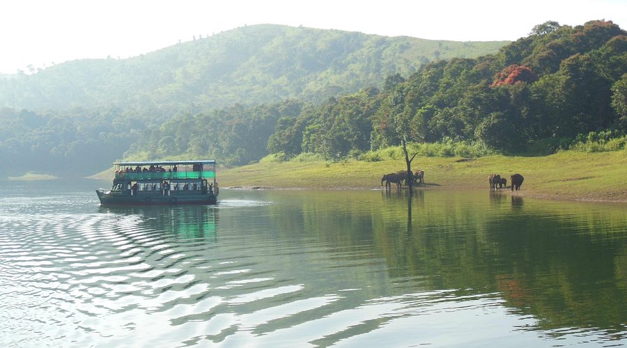 Periyar Boat Safari in India
