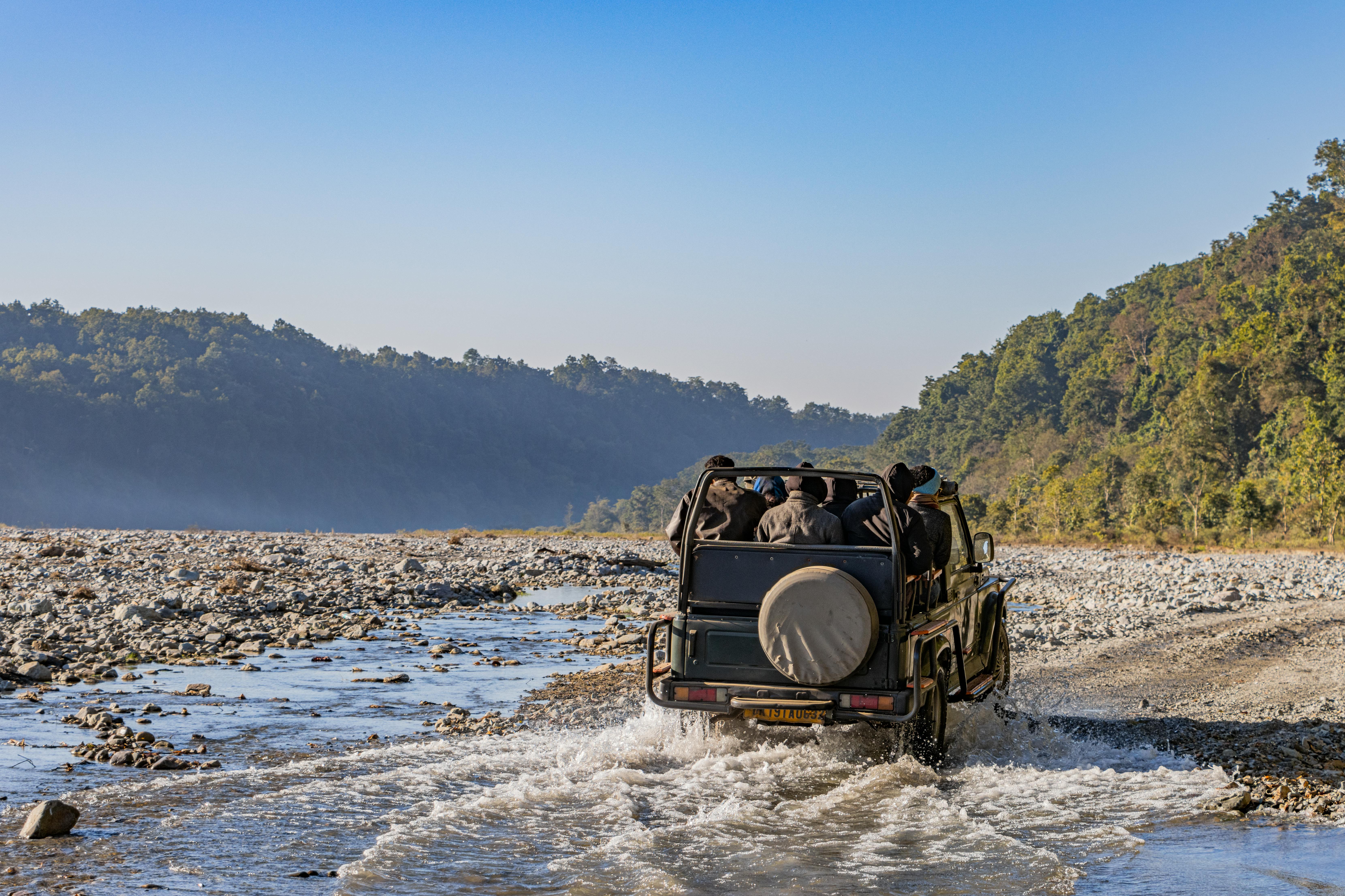 Safari in India