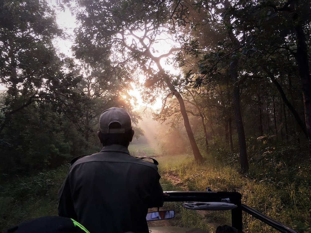 India Safari Holiday