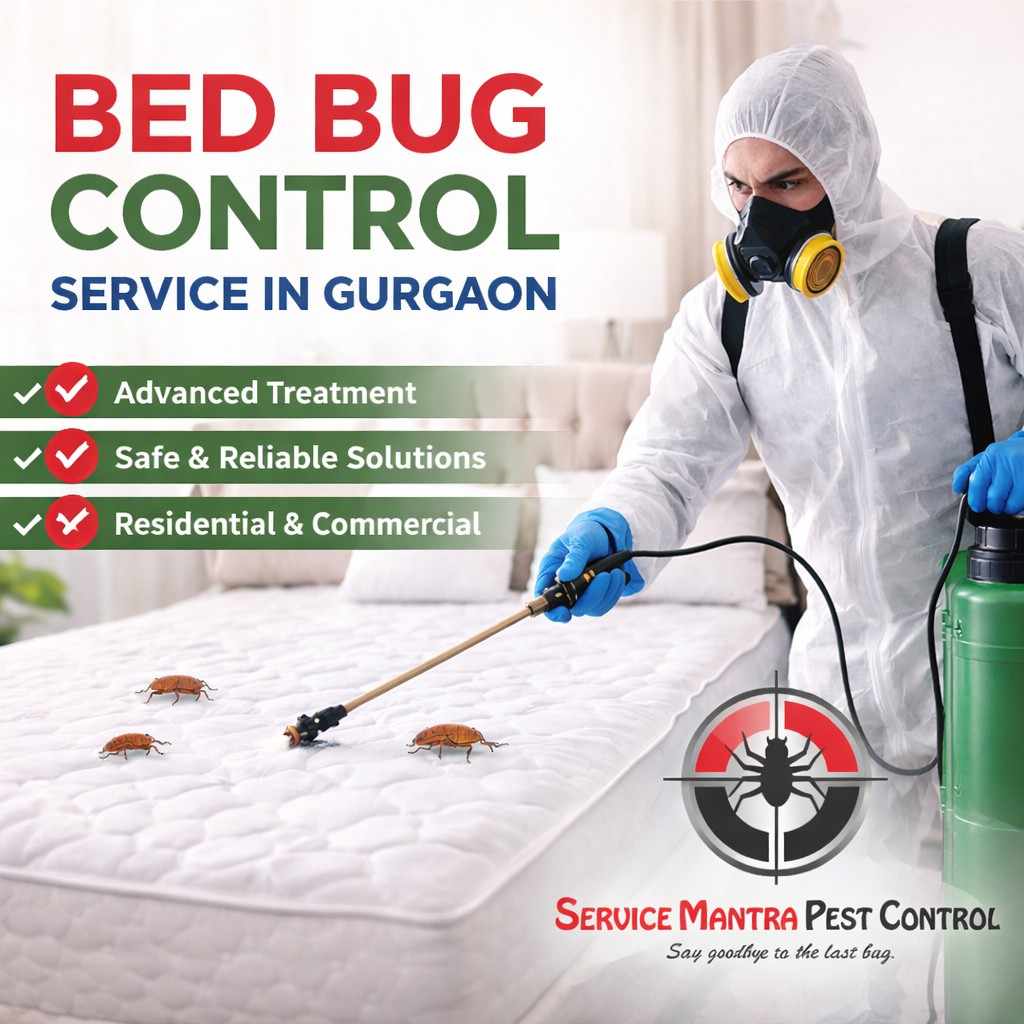 BedbugtreatmentserviceinGurgao.jpeg BedbugtreatmentserviceinGurgao.jpeg