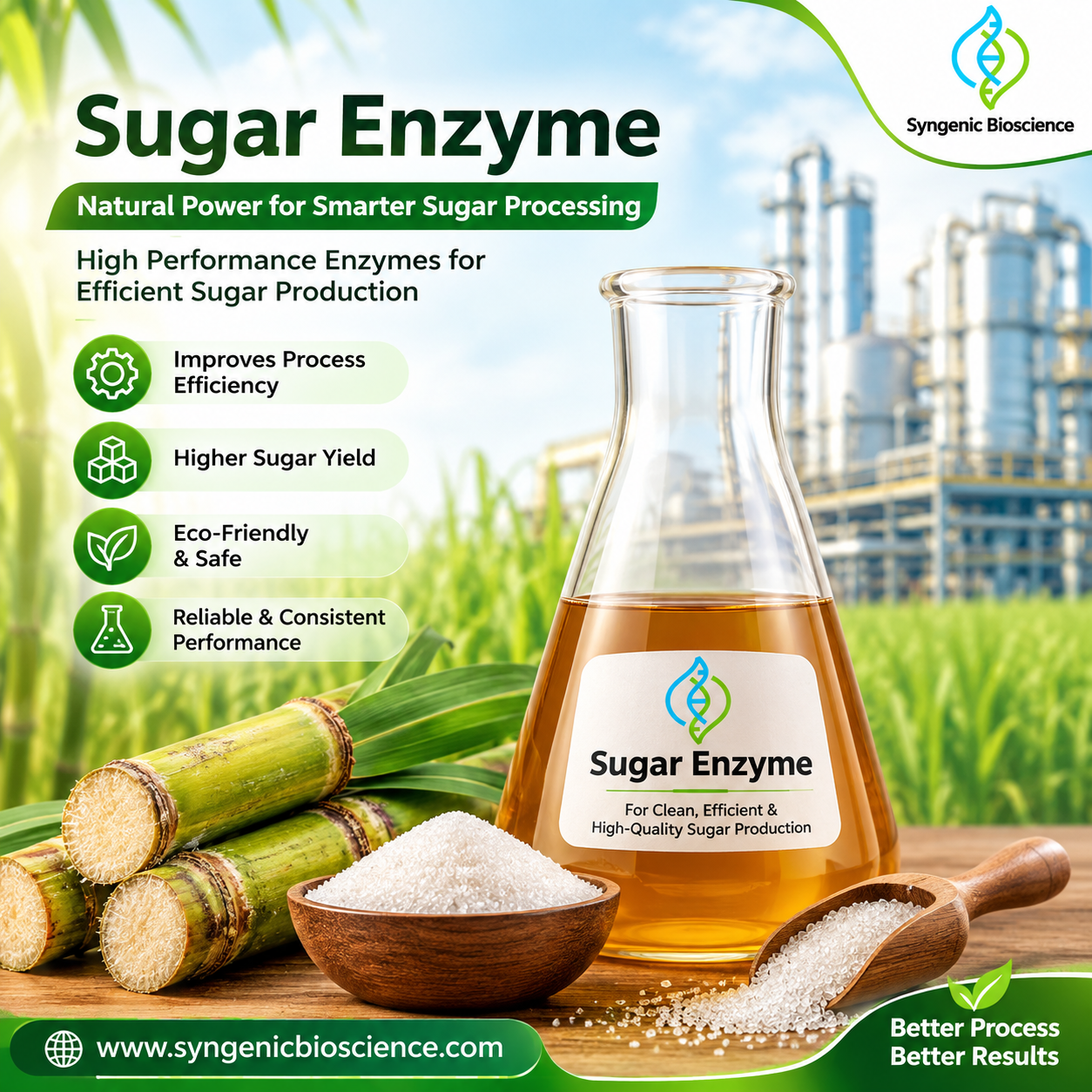 sugar enzyme.png