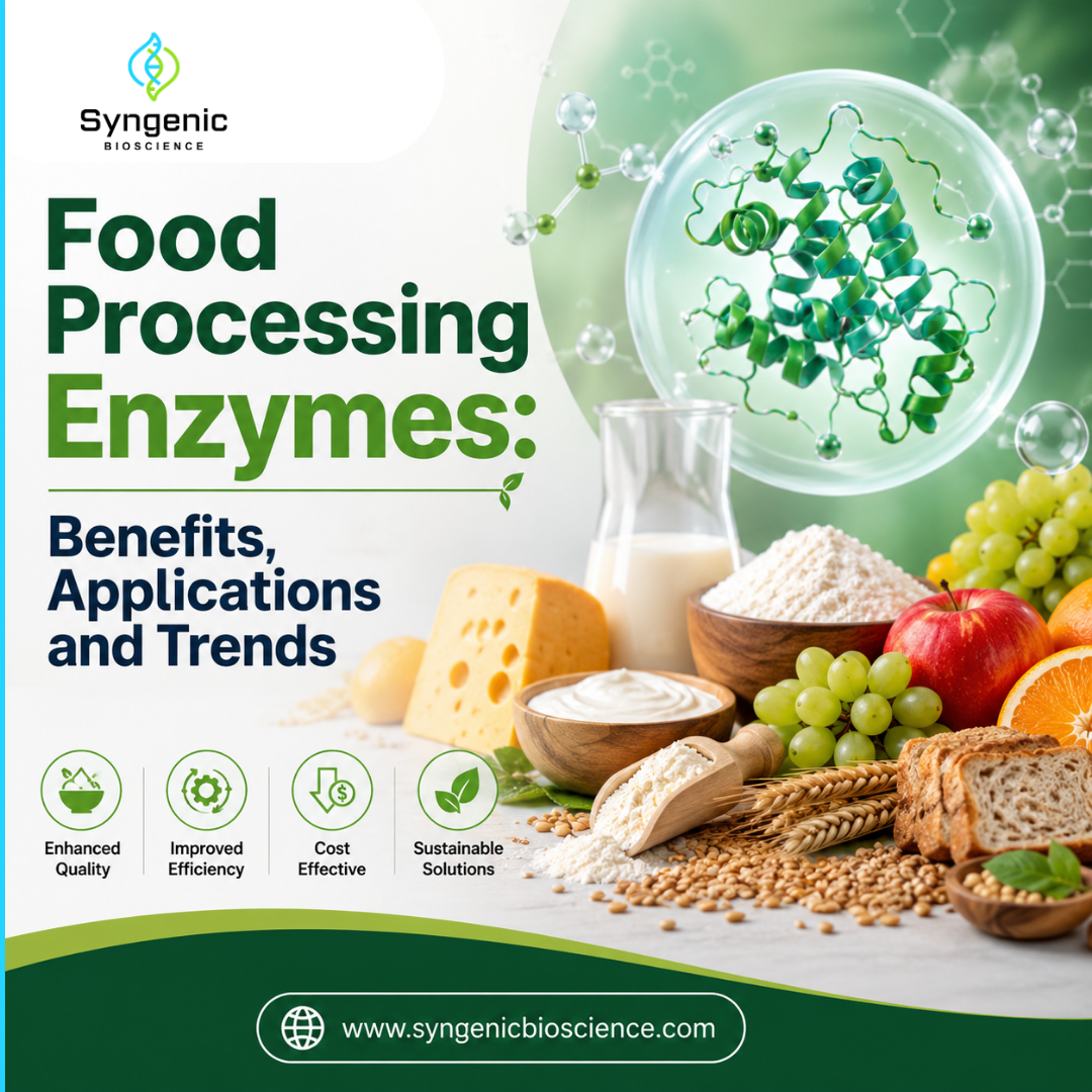 Food-Processing-Enzymes.png