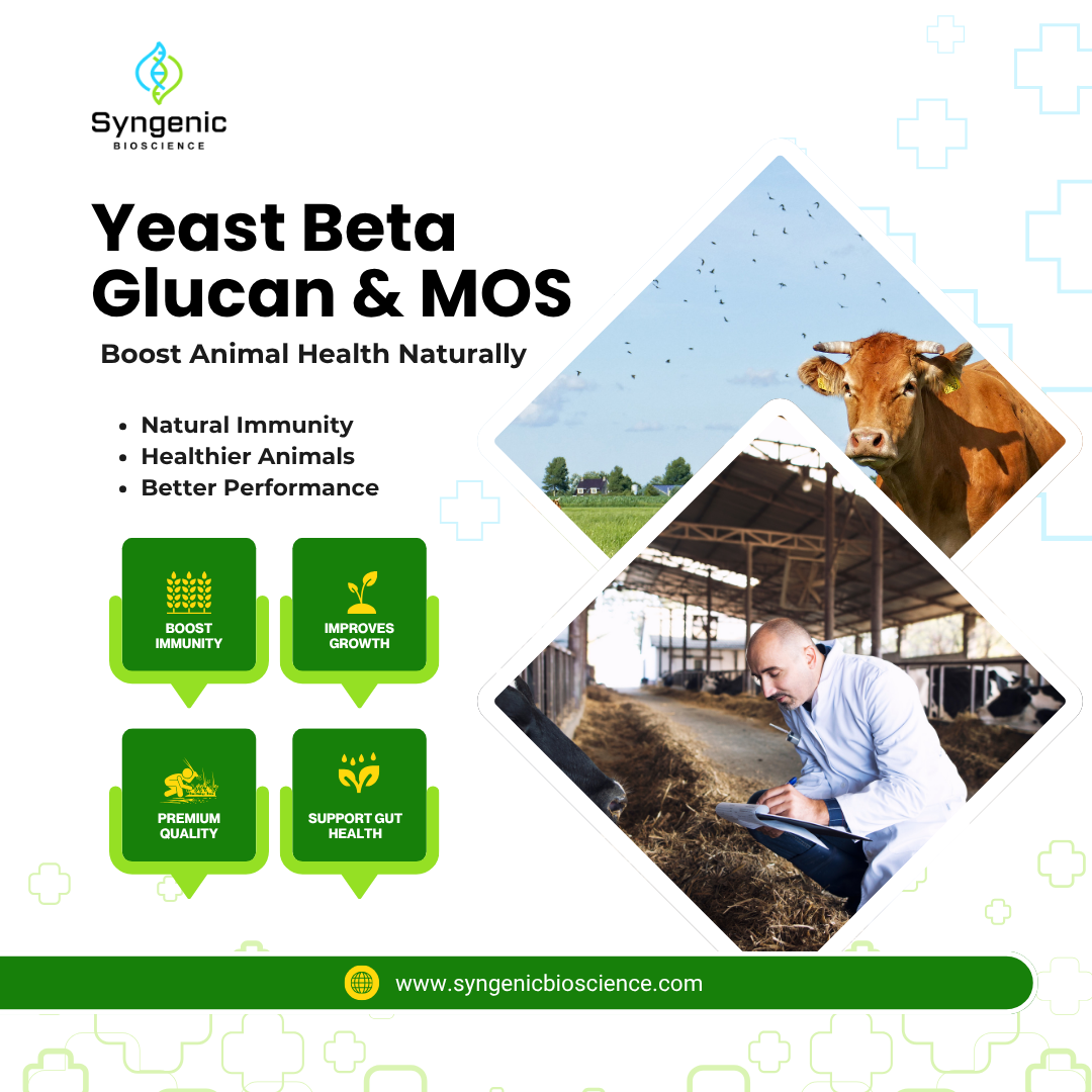 Yeast-Beta-Glucan-and-MOS (1).png