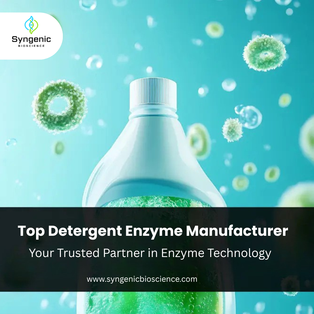 Detergent Enzyme Manufacturer.png