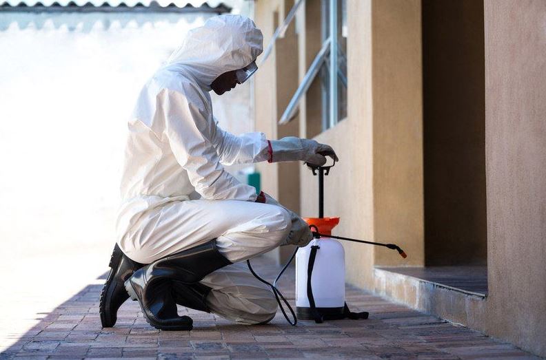 termite-spray.JPG termite-spray.JPG