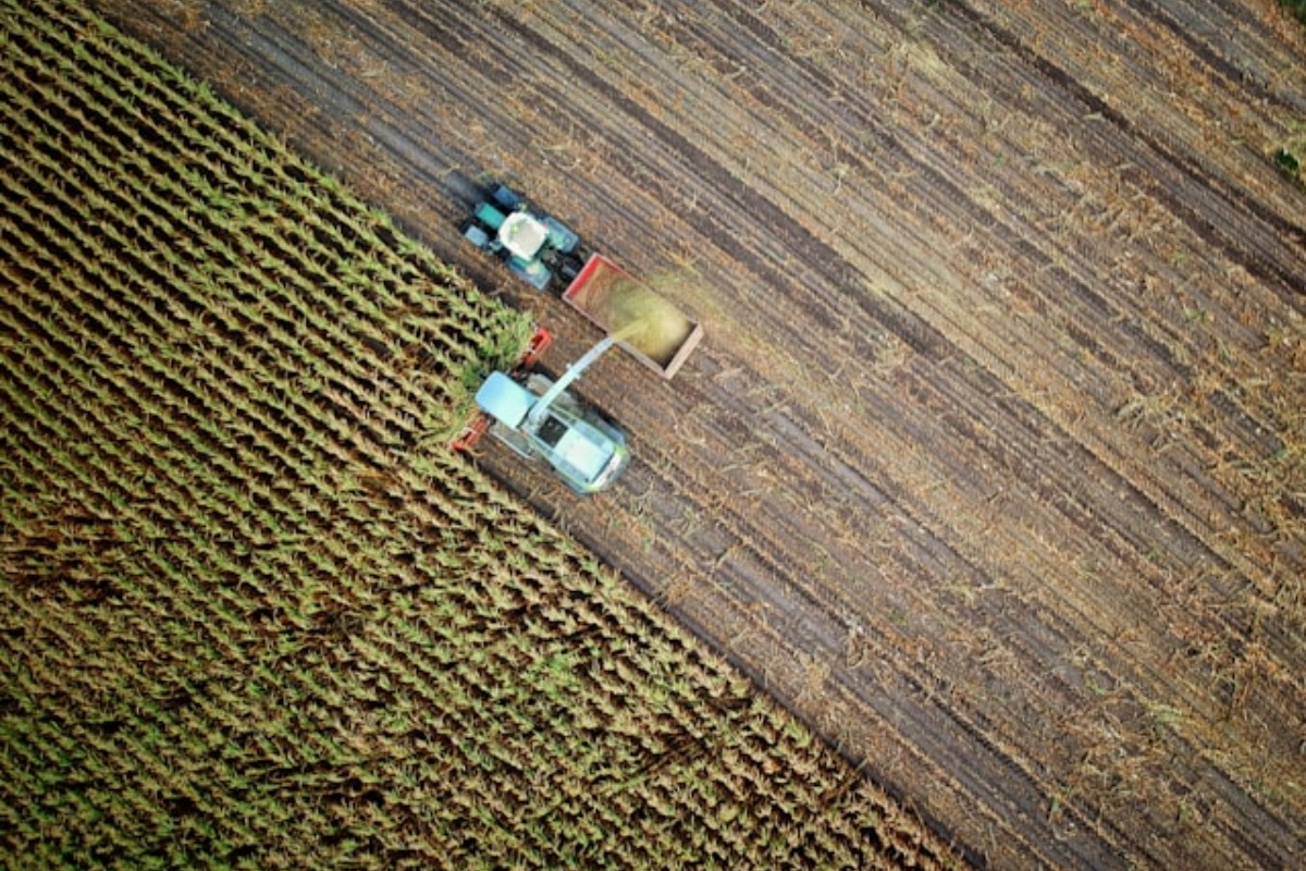 Grains Report - Friday, Aug. 28