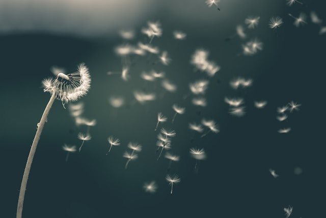 Headwinds, Tailwinds & The Winds Of War