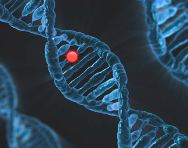 Tech Stock Momentum Wanes But SMID Biotech Has Momentum Within A Rising Healthcare Sector