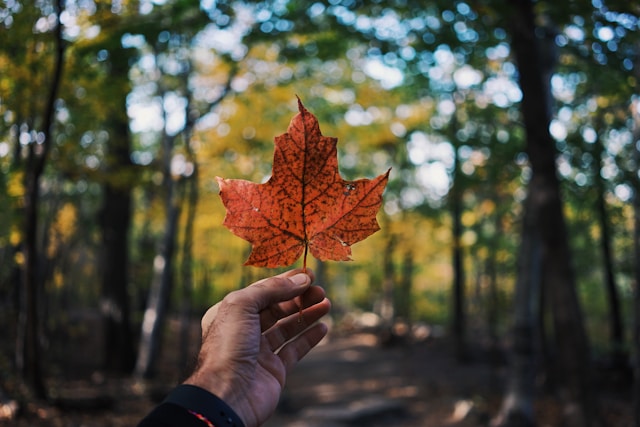 How Canada's Immigration-Driven Population Boom Is Reshaping The Investment Landscape