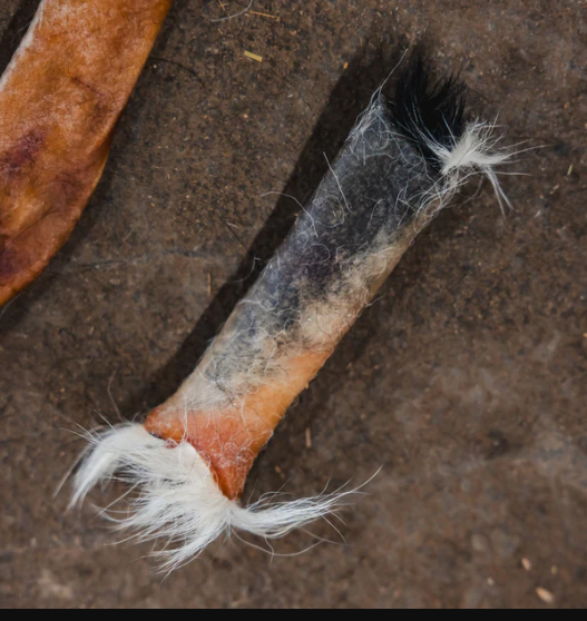 natural bones for dogs.png natural bones for dogs.png