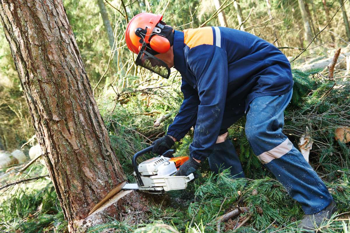 The Top 10 Most Dangerous Jobs in the US Where Risk is Part of the Routine | Future Education Magazine