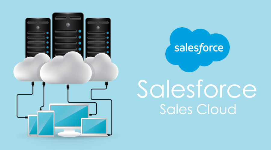 Maximize Your Business Potential with Salesforce CRM Solutions Dxforce