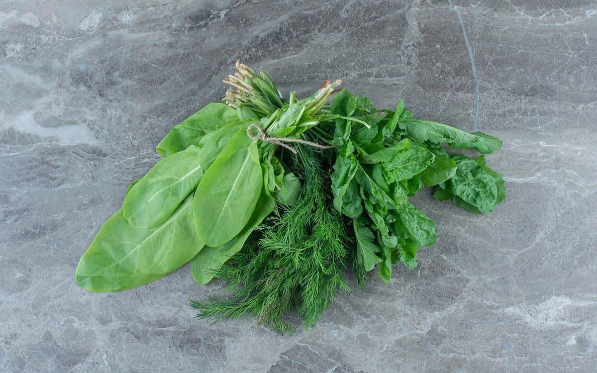 Palak smalll.jpg Palak smalll.jpg