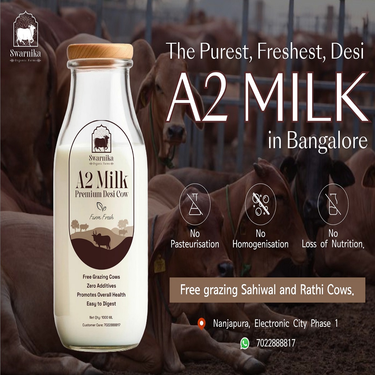 Best a2 milk Delivery in electronic city.jpg.jpeg Best a2 milk Delivery in electronic city.jpg.jpeg