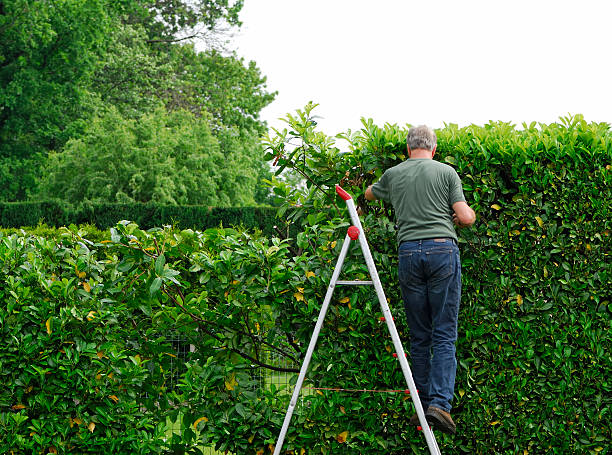 istockphoto-172201143-612x612.jpg istockphoto-172201143-612x612.jpg