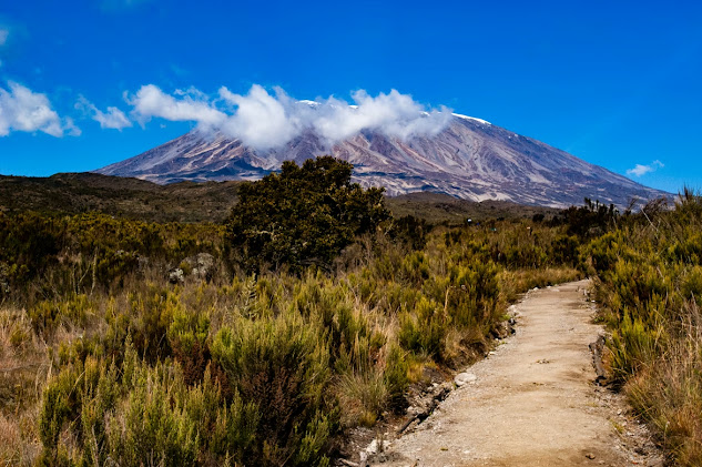 mount kilimanjaro trek 2026 jpg