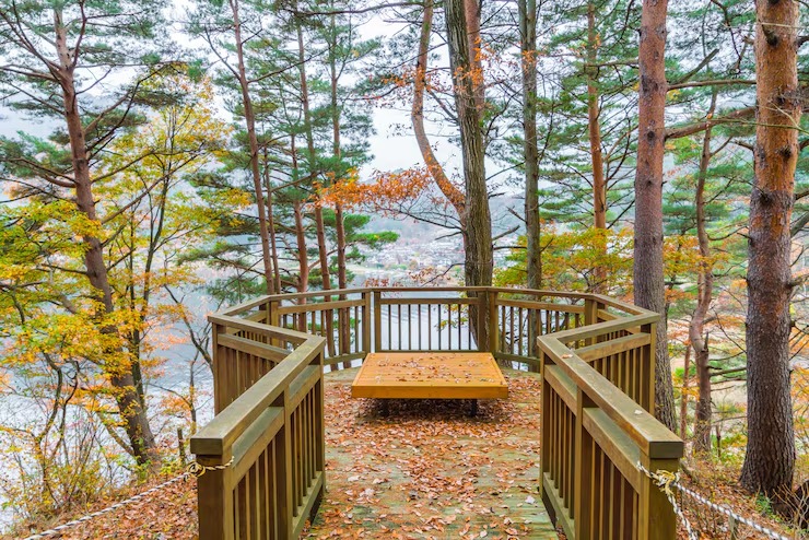 imgi_15_wooden-bench-park_1232-2651.jpg