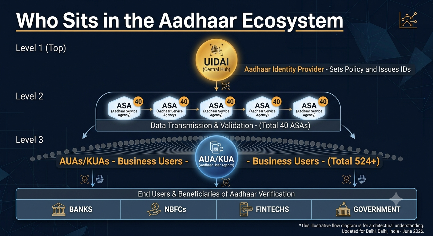 Who sit in the aadhaar ecosystem.png
