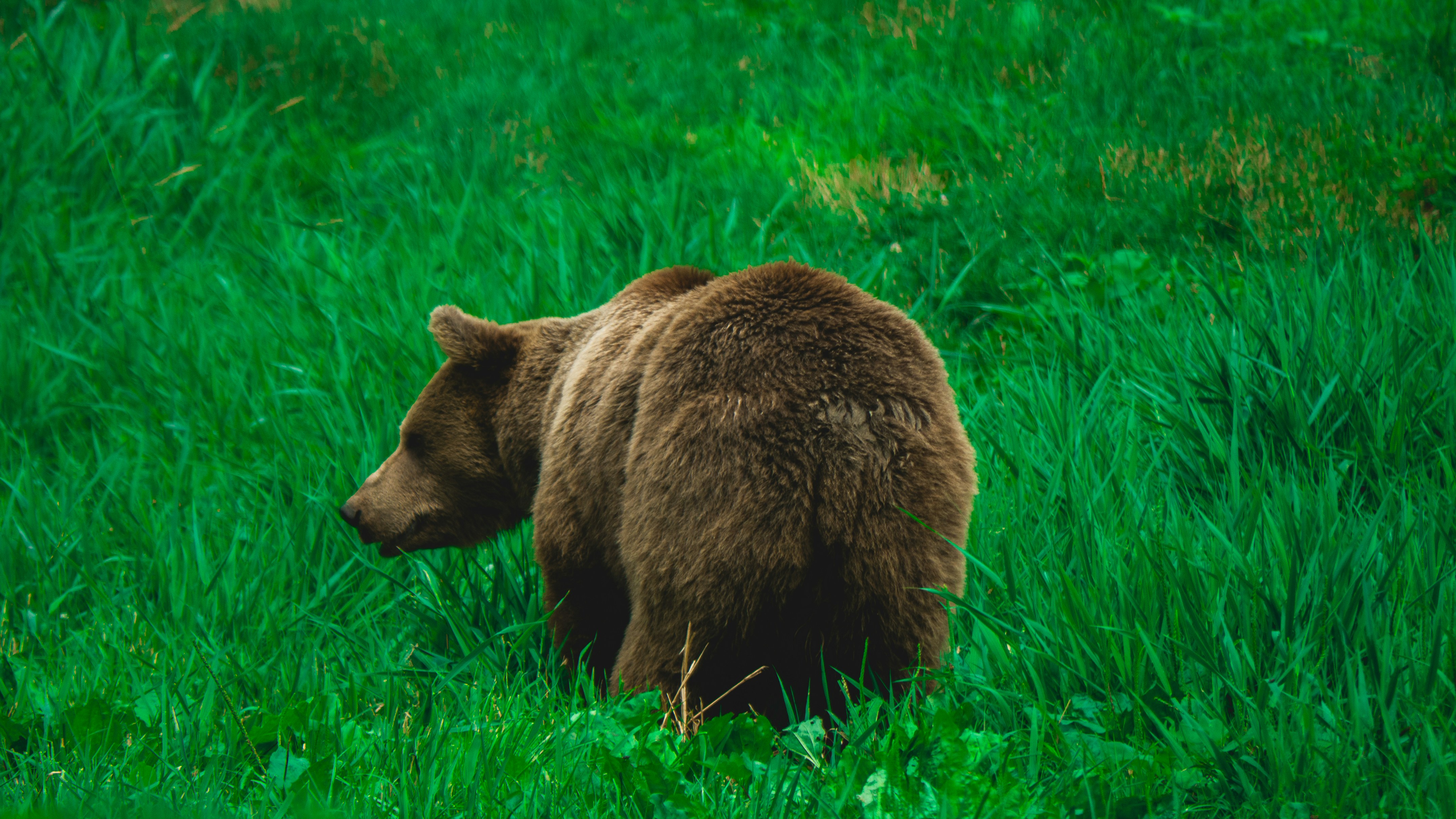 alvin-david-KMZdvu5o5c8-unsplash.jpg