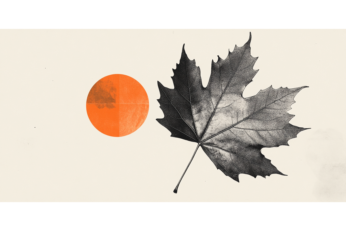 Canadian Dollar Gathers Strength On Elevated Oil Prices