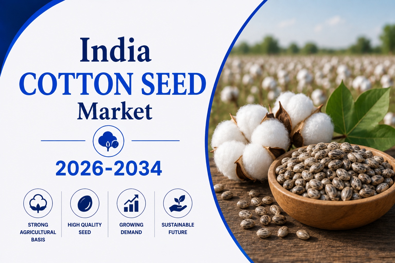 India cotton seed market.jpg India cotton seed market.jpg
