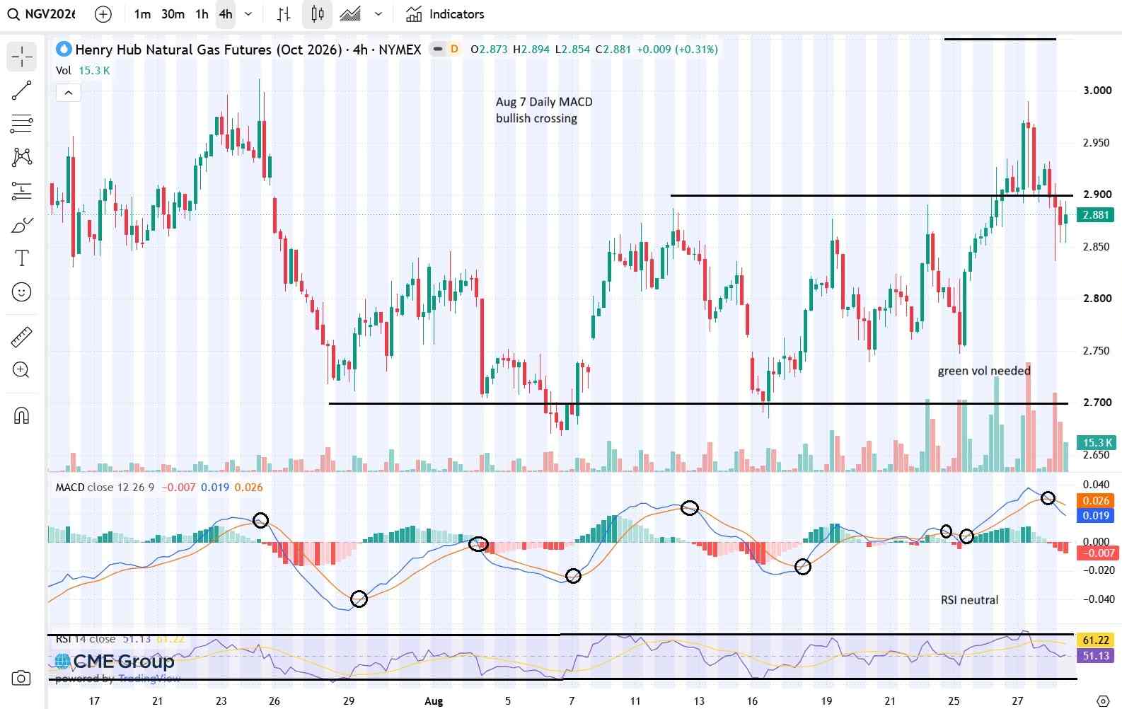Henry Hub Natural Gas Futures