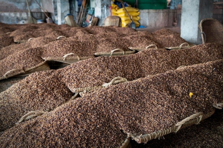 Global Peat Market is projected to grow from USD 4.41 Billion in 2025 to USD 5.76 Billion by 2031, at a CAGR of 4.55%. Peat—partially decomposed organic material from waterlogged bogs and fens—is the organic backbone of professional growing media and select bio‑energy and industrial applications, valued for its water‑holding capacity, aeration and stable structure.

#PeatMarket #GrowingMedia #Horticulture #Floriculture #SapricPeat #ActivatedCarbon #WhiskyProduction #Europe #Biofuel #TechSciResearch

