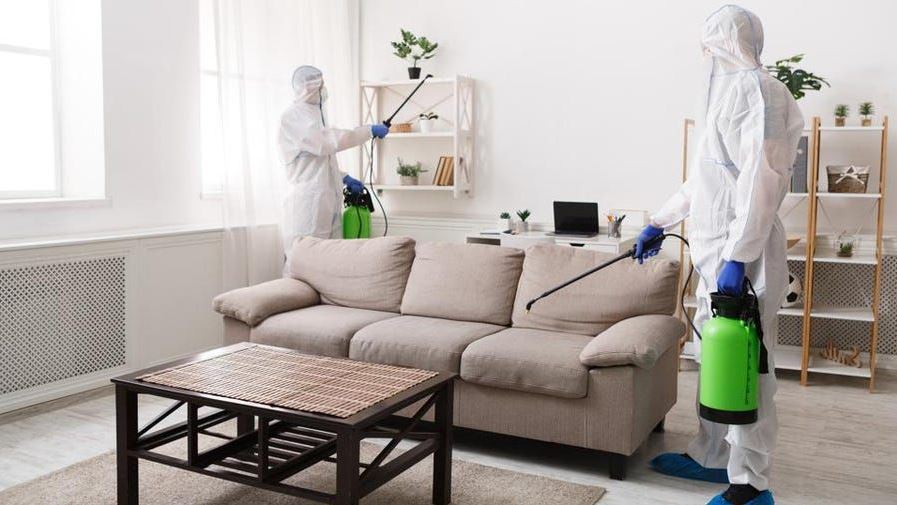 pest-management.JPG pest-management.JPG