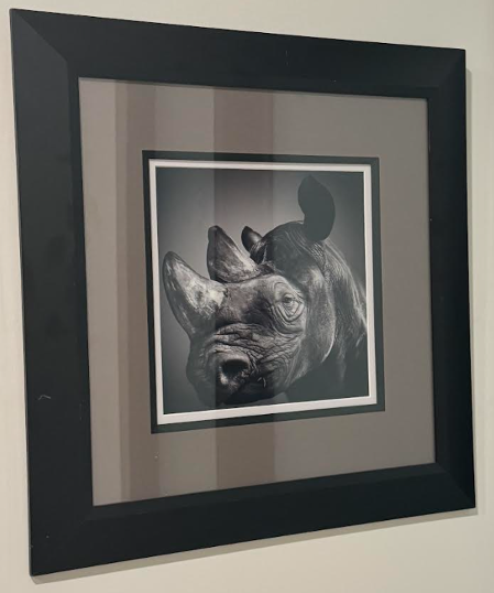 The Rhino Principle: Take Charge
