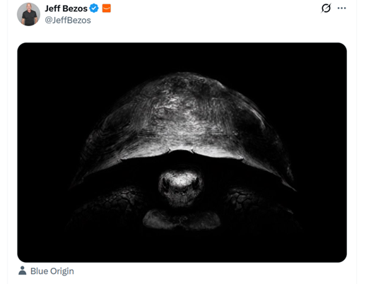 Turn Your Images On
