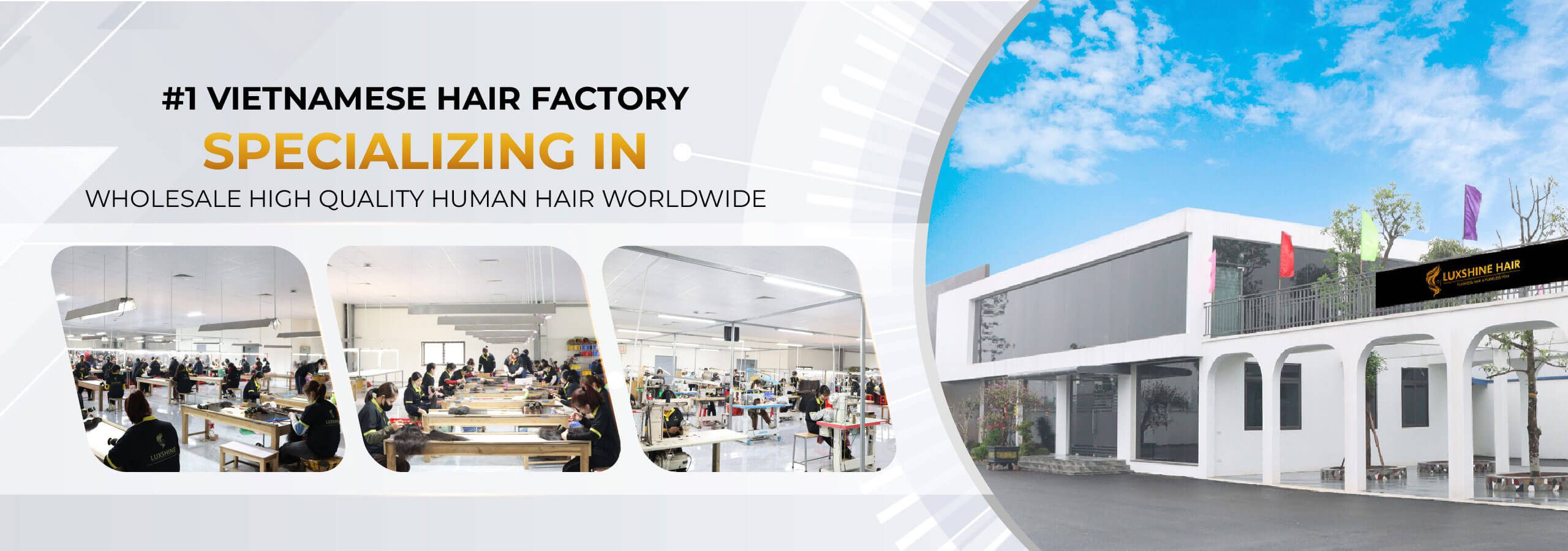 New-Luxshine-Hair-Factory-Banner (1).jpg