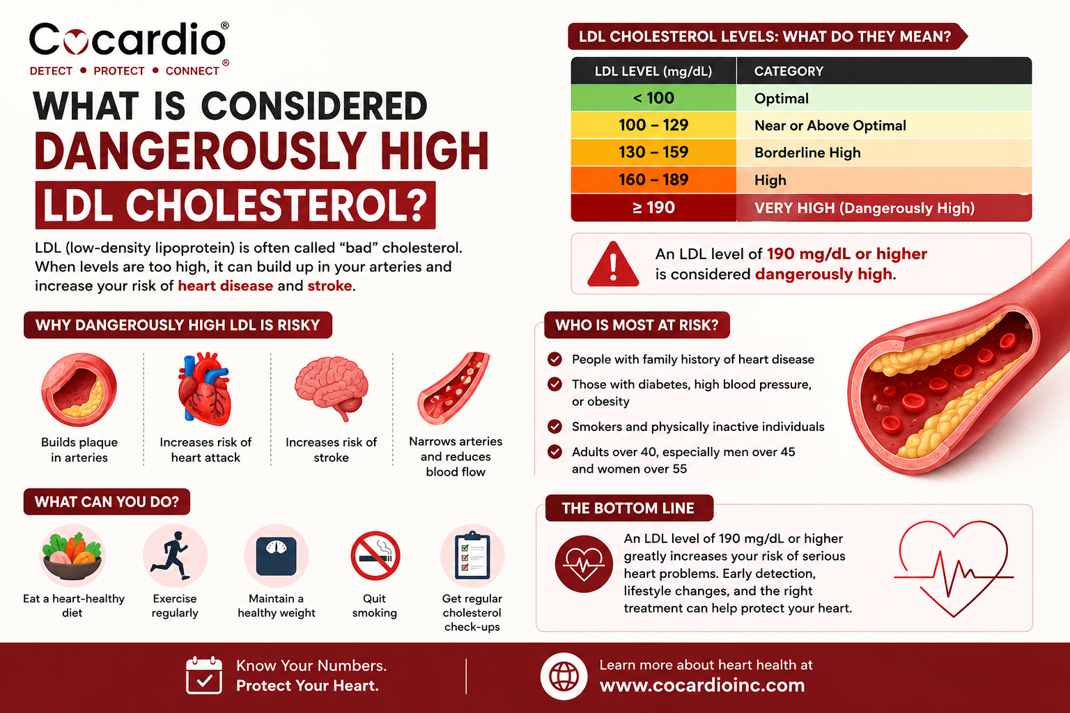 What Is Considered Dangerously High LDL Cholesterol.png What Is Considered Dangerously High LDL Cholesterol.png