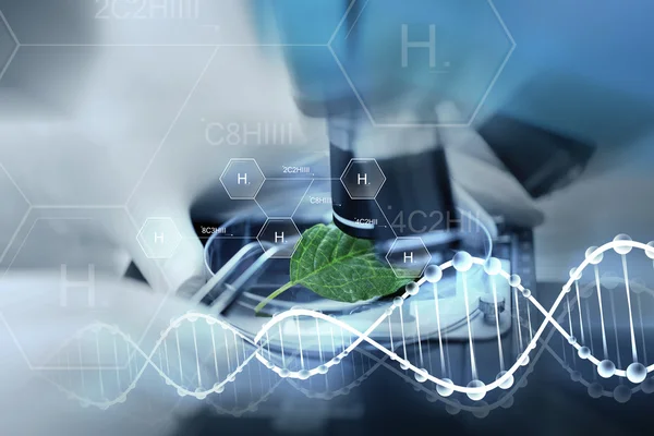 Biotech Stocks Gain Momentum With Prospects For A Good Week