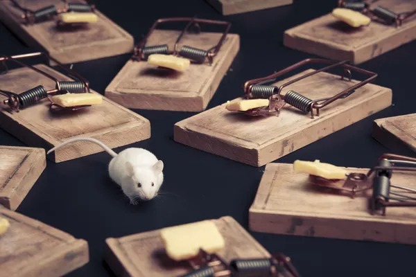 SenesTech Has Built A Better Mouse Trap
