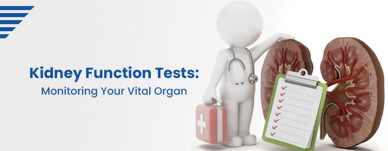 kidney-function-tests.jpg kidney-function-tests.jpg