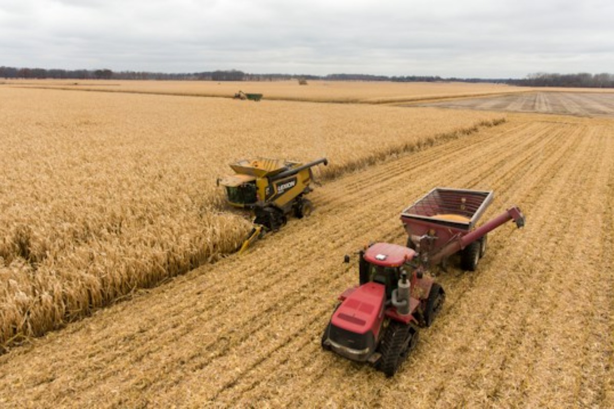 Is Cattle Carving Out A Reversal? Plus, The Border Reopening's Real Impact